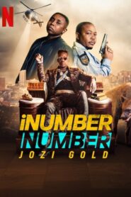 INUMBER NUMBER