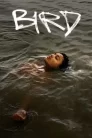 Bird (2024) เบิร์ด