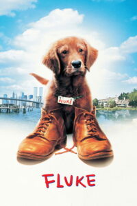 Fluke (1995) | หนังดี24
