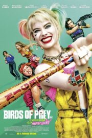 Birds of Prey: And the Fantabulous Emancipation of One Harley Quinn (2020) | หนังดี24
