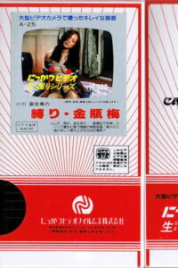 Jin Pin Mei (1996) | หนังดี24