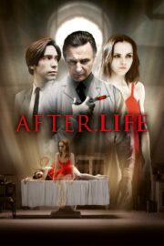 After Life (2009) | หนังดี24