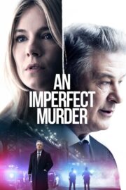An Imperfect Murder (The Private Life of a Modern Woman) (2017) | หนังดี24